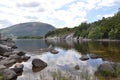 Killarney National Park, Ireland Royalty Free Stock Photo