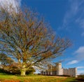 Killeen Castle. Ireland Royalty Free Stock Photo