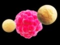 Killer cell attacking cancer Royalty Free Stock Photo