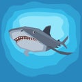 Killer shark illustration Royalty Free Stock Photo