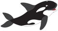 Killer whale Royalty Free Stock Photo