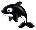 Killer whale