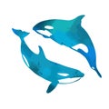 Killer whale blue logo. Vector illustration Royalty Free Stock Photo