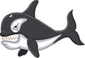 Killer whale cartoon Royalty Free Stock Photo