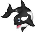 Killer whale cartoon Royalty Free Stock Photo