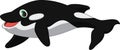 Killer whale cartoon Royalty Free Stock Photo