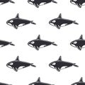 Killer whale character abstract hand drawn vector seamless pattern. Retro illustration. Marine wild mammal. Ocean and Royalty Free Stock Photo