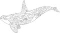 Killer whale coloring page vector illustration, Zentangle animal outline, Sea animal ornament corals and shells Royalty Free Stock Photo