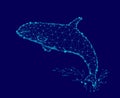 Killer whale 3d polygonal triangle model. Underwater sea wild danger monster. Glowing blue connected dots wire mesh logo Royalty Free Stock Photo