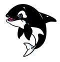 Killer Whale fish cartoon illustration Royalty Free Stock Photo