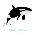 Killer Whale flat icon. Colored element sign from wild animals collection. Flat Killer Whale icon sign for web design Royalty Free Stock Photo