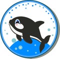 Killer whale jumping out of water