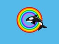 Killer whale jumping in rainbow ring