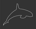 Killer Whale line contour, jumping out of water vector silhouette illustration isolated on blac Royalty Free Stock Photo