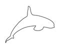 Killer Whale line contour, jumping out of water vector silhouette illustration. Royalty Free Stock Photo