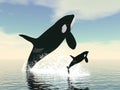 Killer whale mum and baby - 3D render