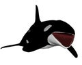 Killer whale opening mouth - 3D render Royalty Free Stock Photo