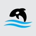 killer whale orca logo vector Royalty Free Stock Photo