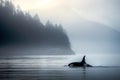 Killer whale Orca traveling between islands in ocean a misty day . Amazing Wildlife. Generative Ai