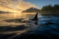 Killer whale Orca traveling with sunset stunning background. Amazing Wildlife. Generative Ai