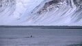 Killer whale pod family swimming by shore snowy fjord mountains Iceland