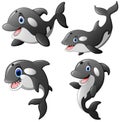 Killer whale set cartoon