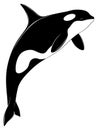 Killer whale, tattoo