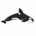 Killer whale vector illustration. Orca jumping on white background Royalty Free Stock Photo