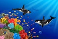 Killer whales cartoon with underwater