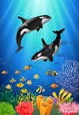 Killer whales cartoon with underwater view