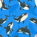 Killer Whales Seamless Pattern, Cute Orca Whale Sea Predatory Fish Vector Illustration