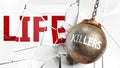 Killers and life - pictured as a word Killers and a wreck ball to symbolize that Killers can have bad effect and can destroy life