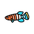 killifish aquarium fish color icon vector illustration