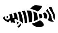 killifish aquarium fish glyph icon animation