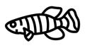 killifish aquarium fish line icon animation