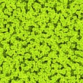 Killing dangerous orange yellow cells or virus spheres in dirty water. The microscopic world