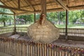 Killing fields, Cambodia Royalty Free Stock Photo