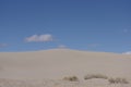 Killpecker sand dunes Wyoming USA Royalty Free Stock Photo