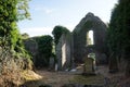 Killydonnell Friary Interior