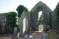 Killydonnell Friary Interior