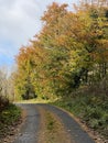 Killykeen forest park, Cavan, Ireland