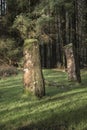 Kilmore standing stones at Dervaig on the Isle of Mull.