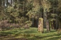 Kilmore standing stones at Dervaig on the Isle of Mull. Royalty Free Stock Photo