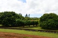 Kilohana Plantation at Lihue on Kauai Island in Hawaii