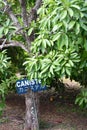 Kilohana Plantation at Lihue on Kauai Island in Hawaii