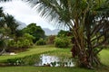 Kilohana Plantation at Lihue on Kauai Island in Hawaii