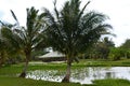 Kilohana Plantation at Lihue on Kauai Island in Hawaii