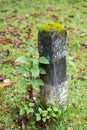 Kilometer pole The country road has moss up Royalty Free Stock Photo