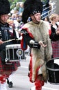 Kilted drummer in marching band Royalty Free Stock Photo