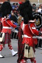 Kilted drummer in marching band Royalty Free Stock Photo